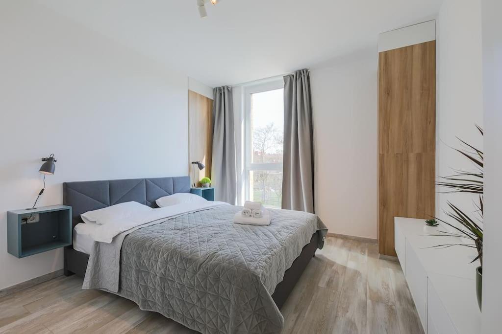 Luxury Apt. Near River & Parking Timişoara Eksteriør billede