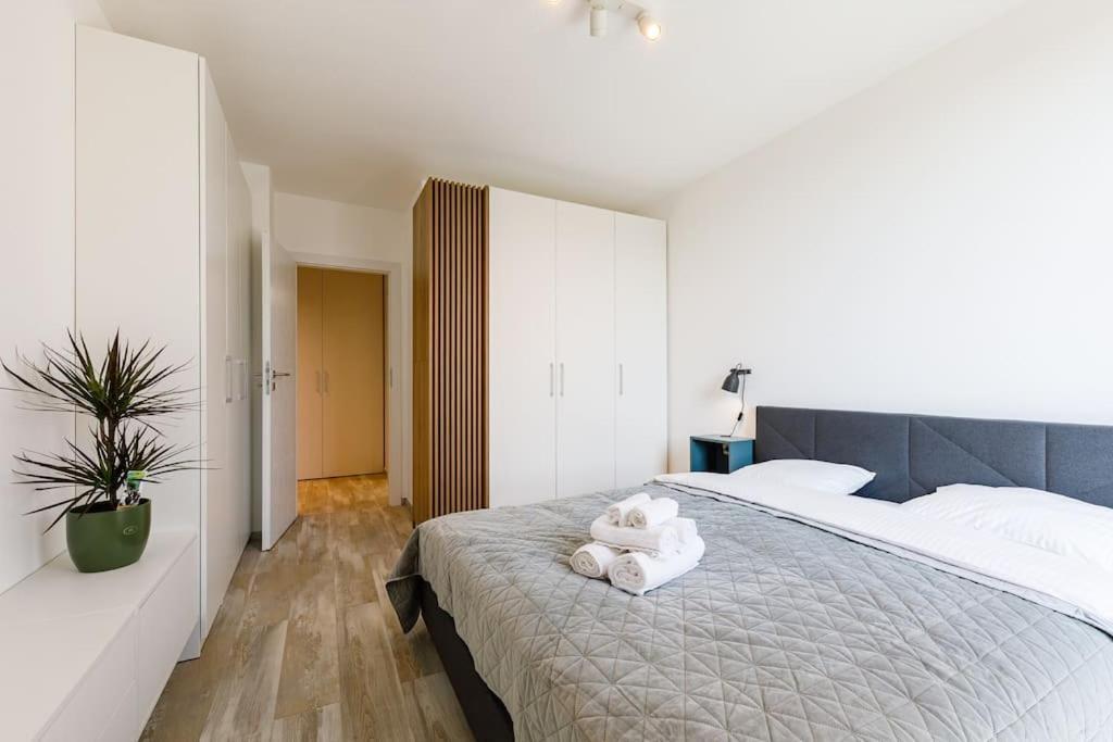 Luxury Apt. Near River & Parking Timişoara Eksteriør billede