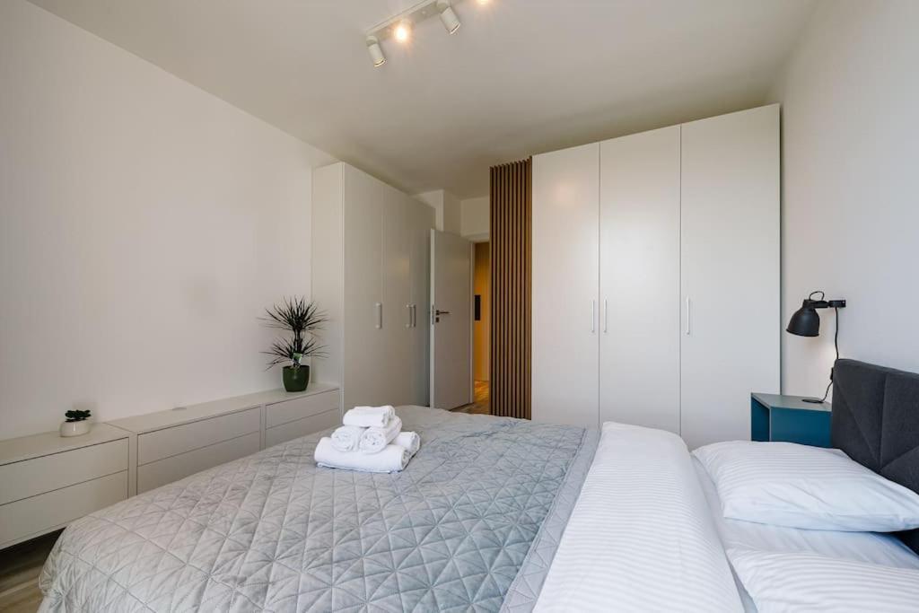 Luxury Apt. Near River & Parking Timişoara Eksteriør billede