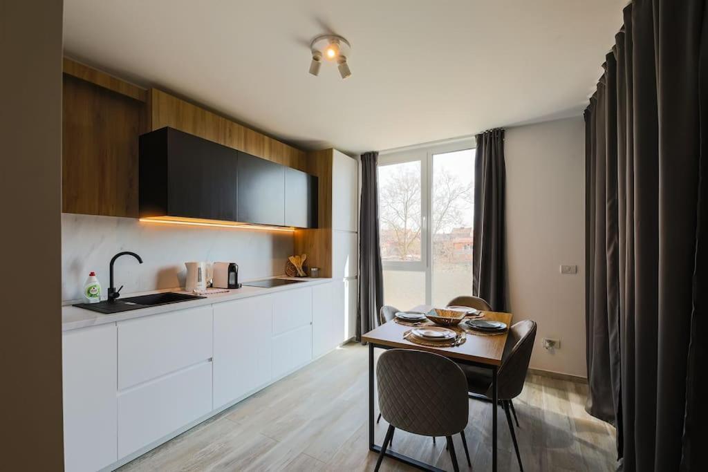 Luxury Apt. Near River & Parking Timişoara Eksteriør billede
